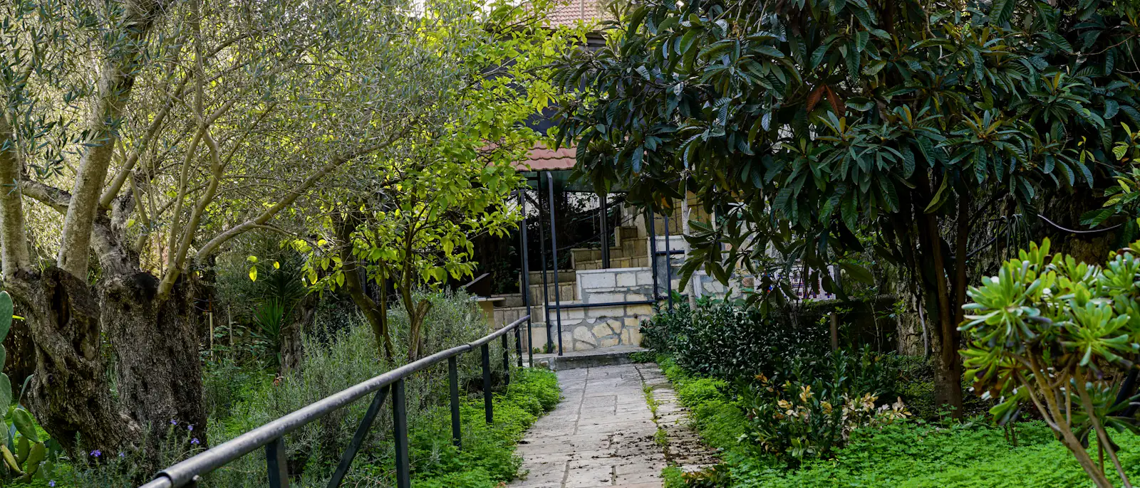 Natursteinweg durch üppig bepflanzten Garten