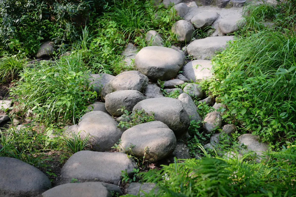 Großformatiger Natursteinweg durch üppiges Grün